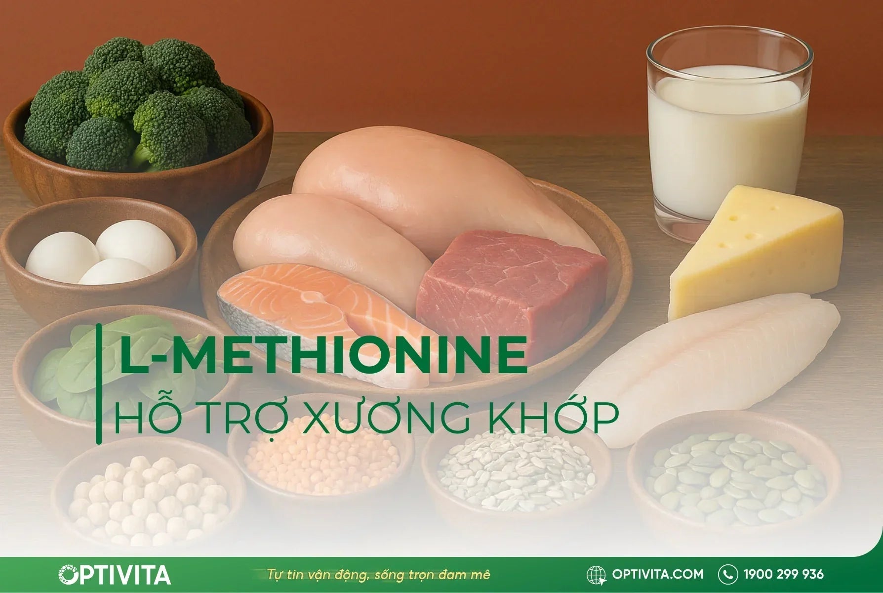 L-methionine: Thành phần quan trọng hỗ trợ sức khỏe khớp