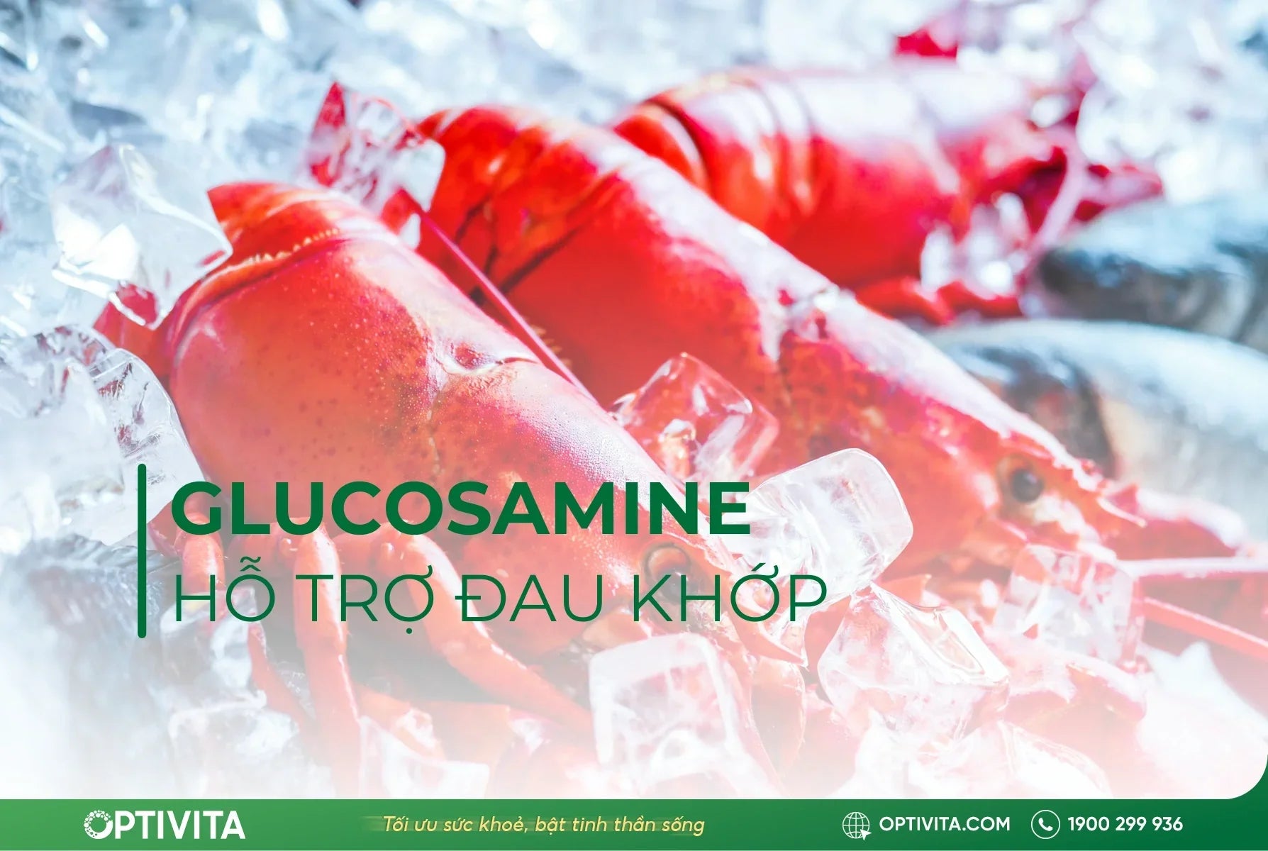Glucosamine hỗ trợ đau khớp như thế nào?