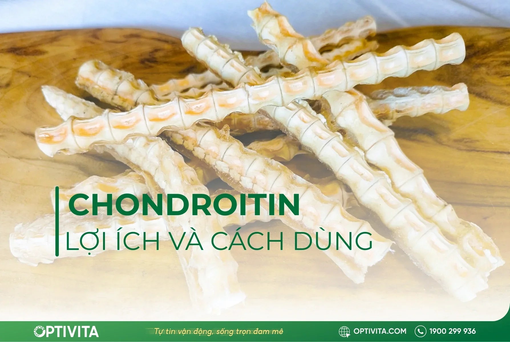 Cẩm nang Chondroitin: Lợi ích, rủi ro và cách dùng
