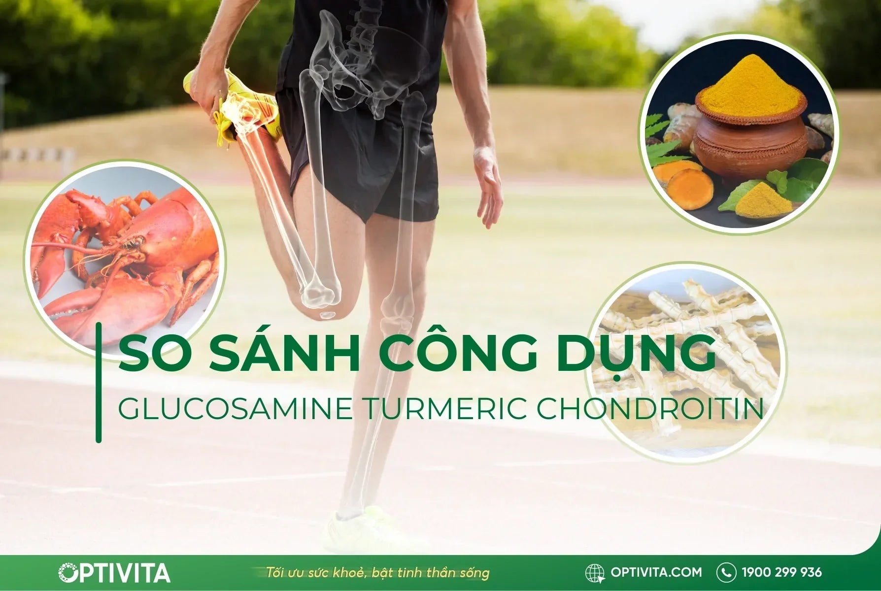 So sánh glucosamine turmeric chondroitin