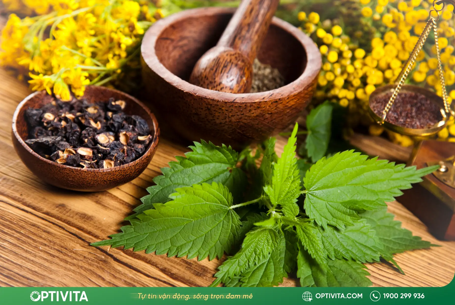 Bài thuốc chữa khô khớp gối bằng thảo dược Đông y