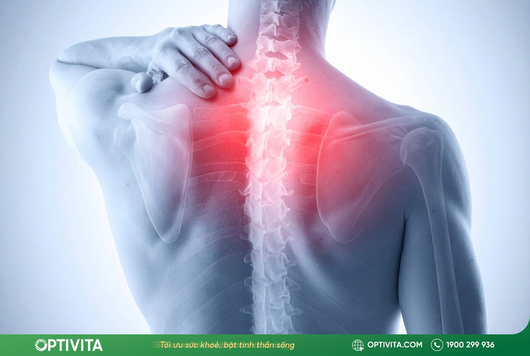 bệnh đau vai gáy dân văn phòng cảnh báo sớm các bệnh lý tiềm ẩn