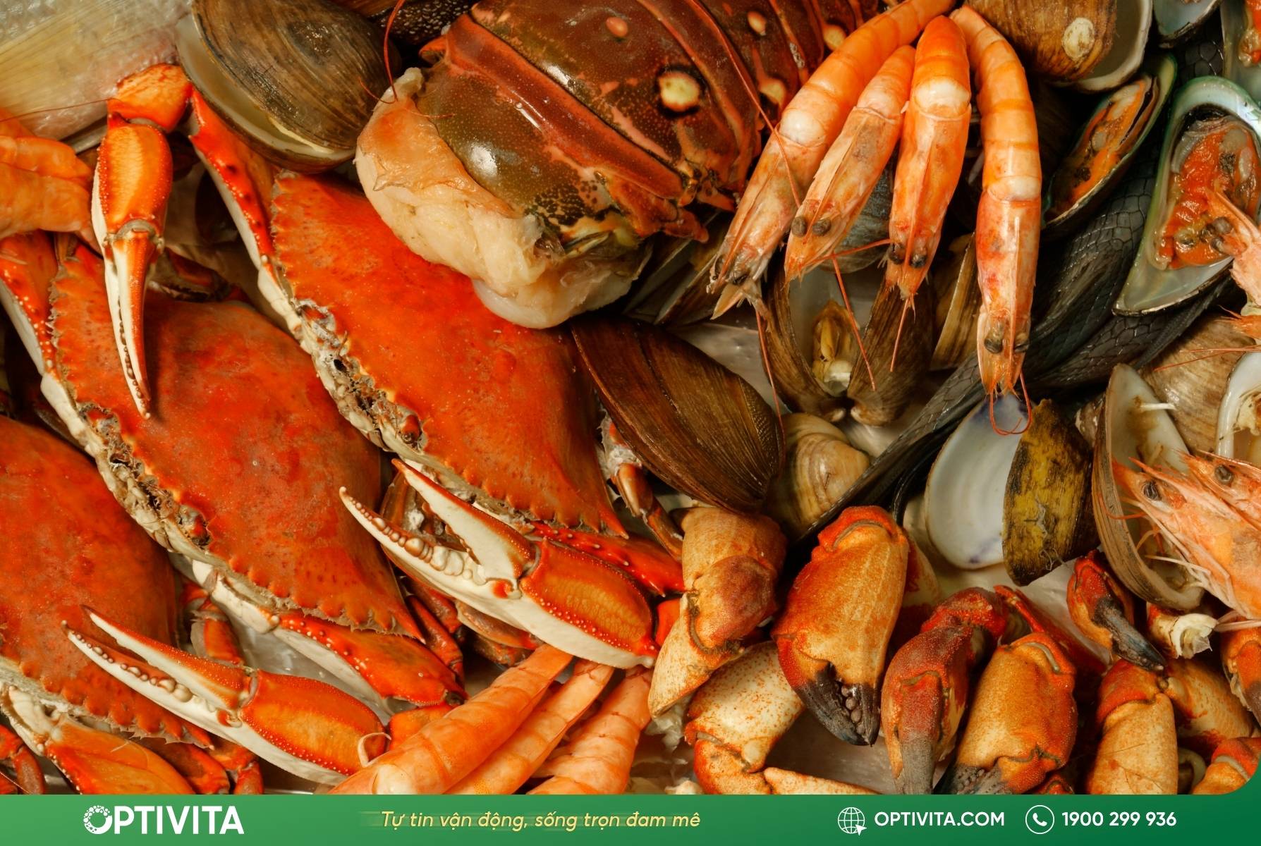 Vỏ của tôm, cua, tôm hùm là nguồn Chitin dồi dào để chiết xuất Glucosamine