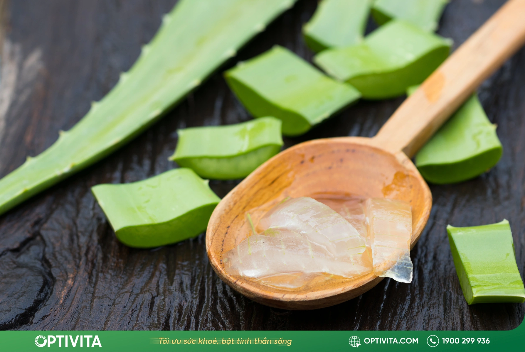 Nha đam (Lô hội) – Làm dịu khớp viêm
