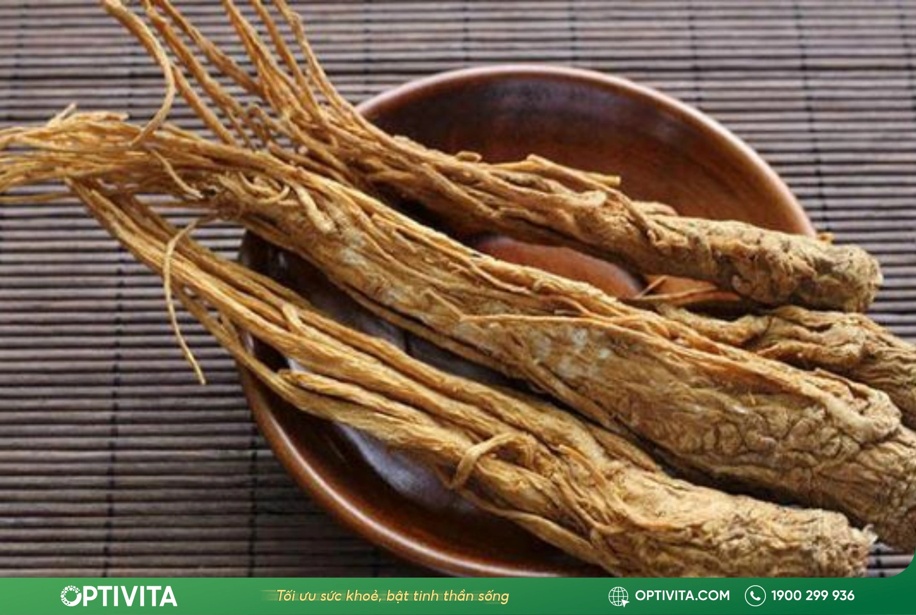 Đương quy – Bổ huyết và hoạt huyết cho khớp