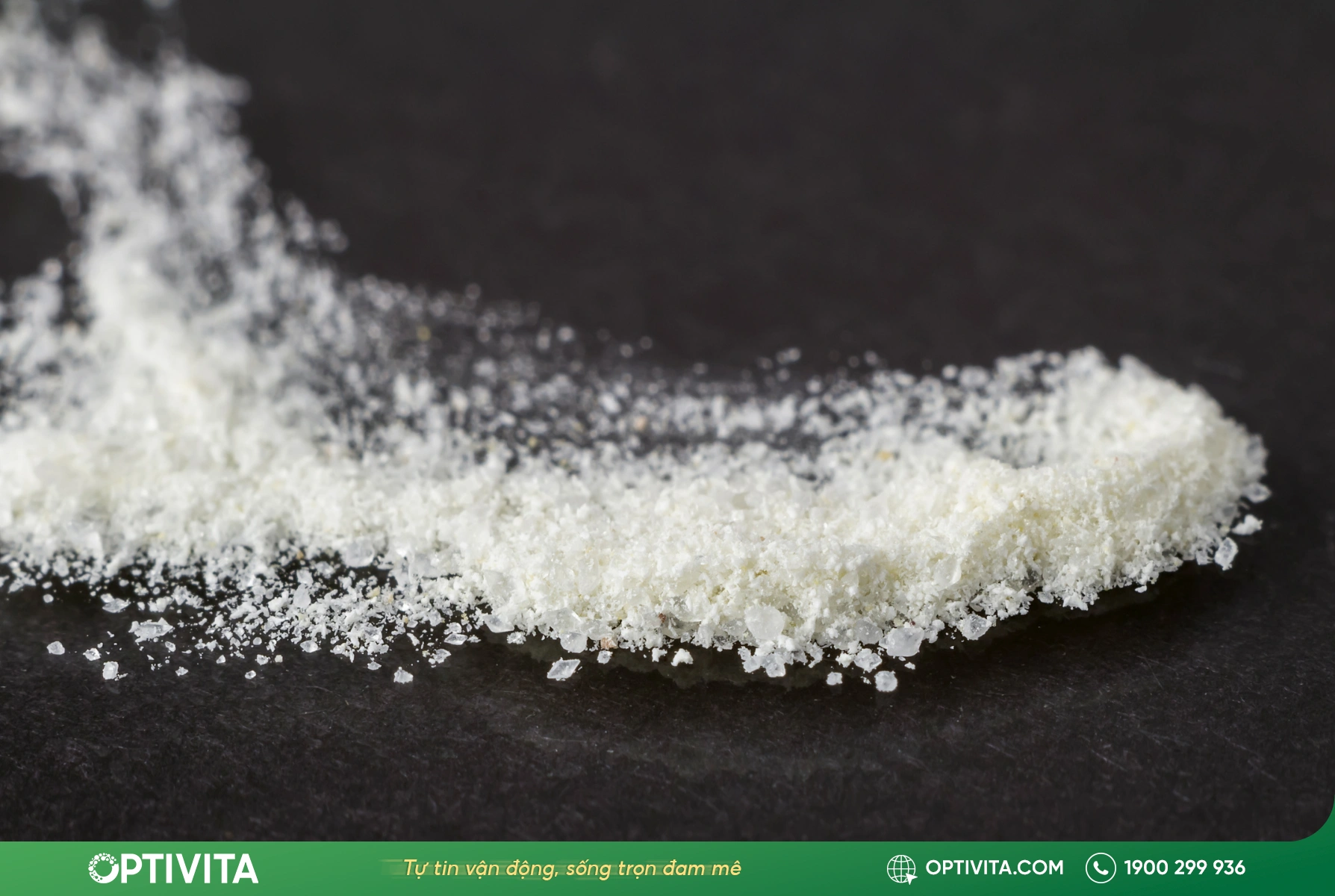 Chondroitin Sulfate