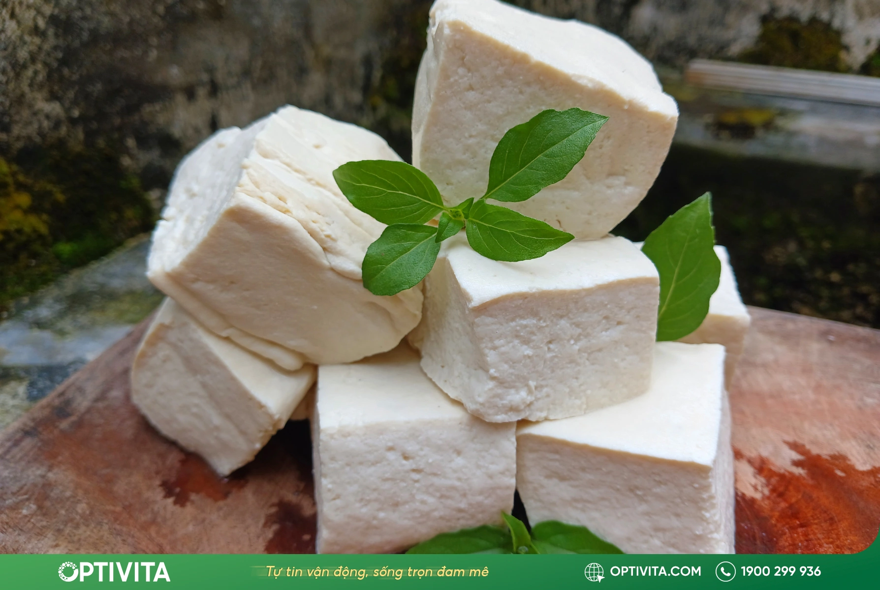 Đậu nành cung cấp protein chất lượng cao giúp xây dựng cơ bắp