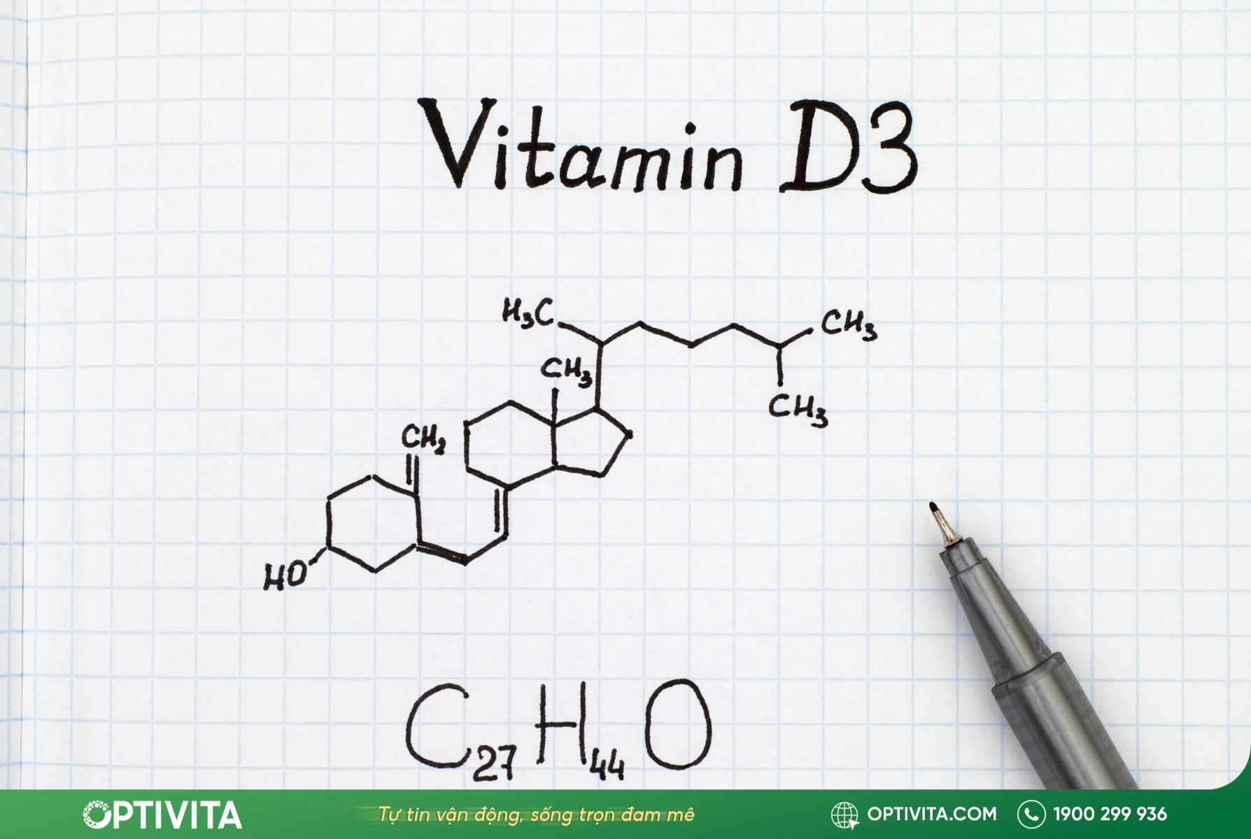Vitamin D3 là gì?