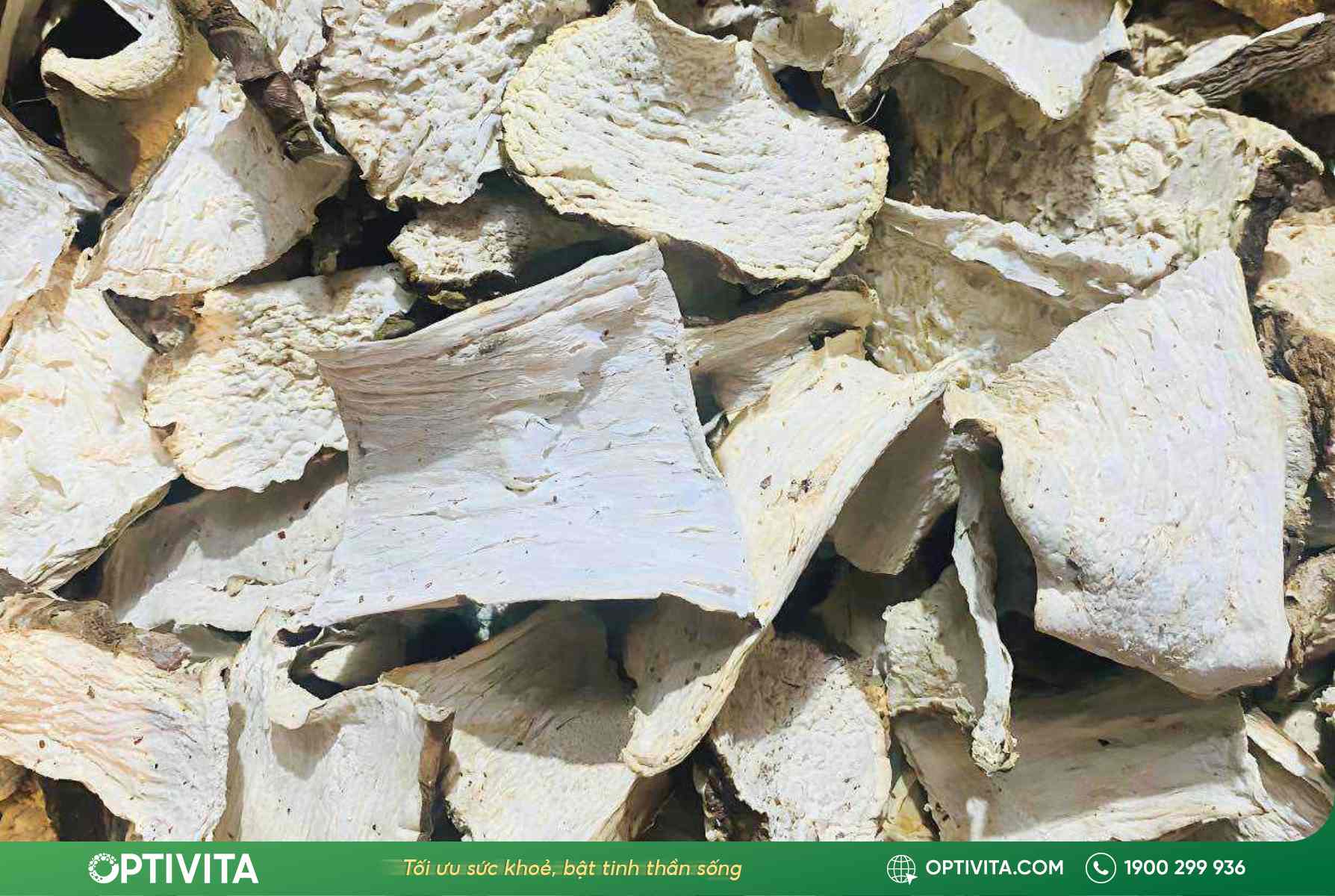 Củ ráy chữa bệnh xương khớp