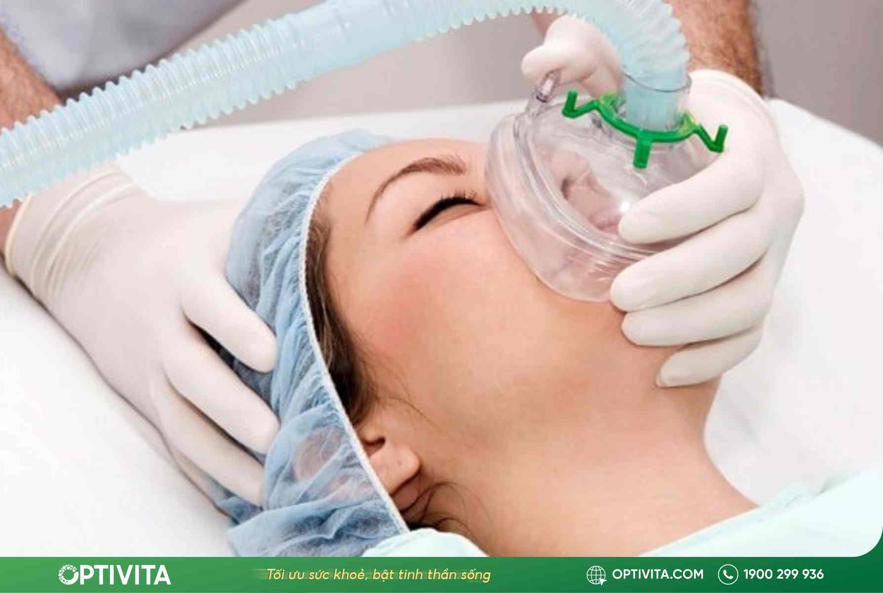 Củ ráy chữa bệnh xương khớp