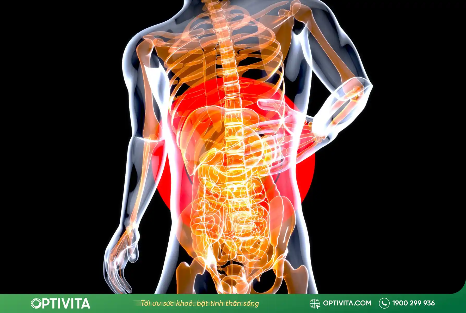 đau thắt lưng là bệnh gì