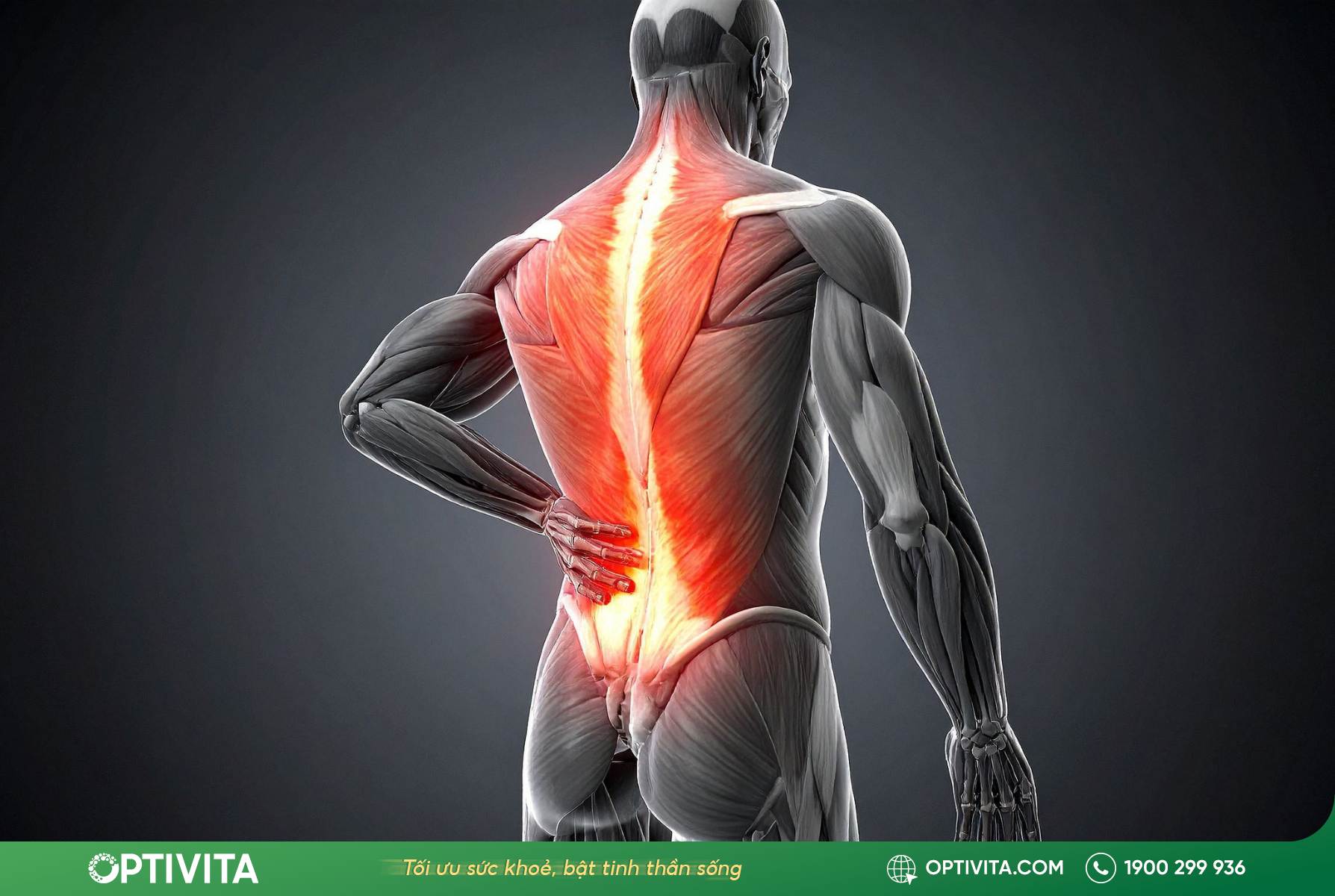 Đau lưng lan tỏa toàn bộ