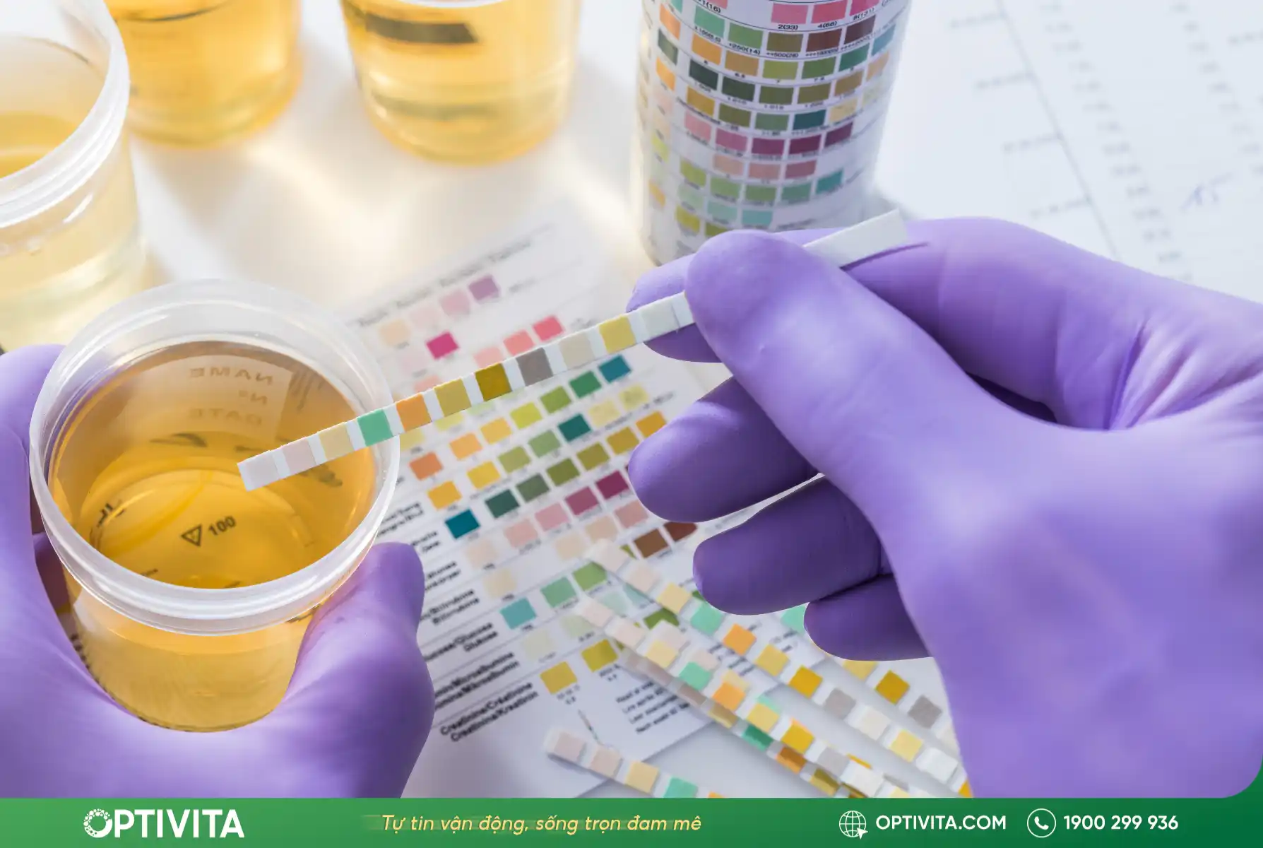 Đau thắt lưng có phải bị thận không? 5 cách phân biệt đau lưng do thận và cột sống 9 đau thắt lưng có phải bị thận không