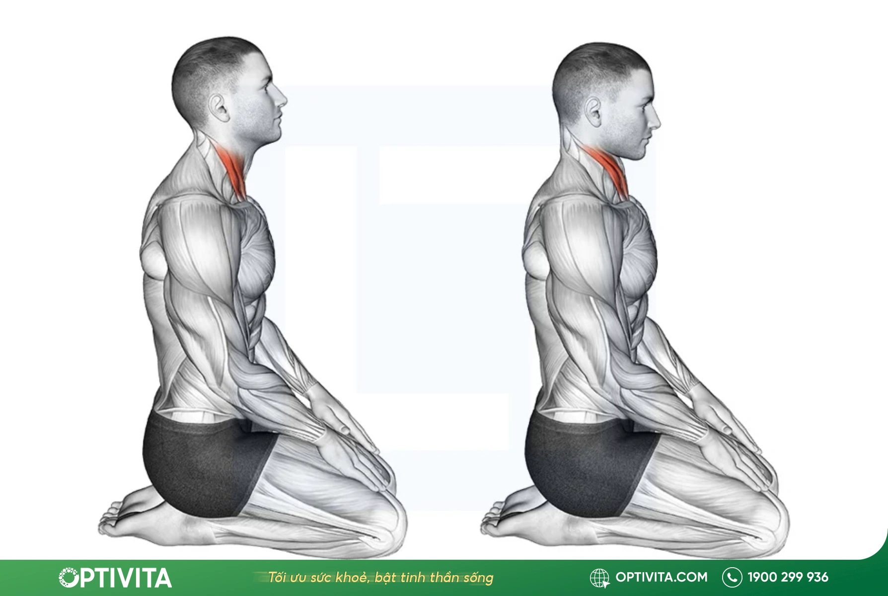 Cúi gập cằm (Chin Tuck) giảm đau vai gáy