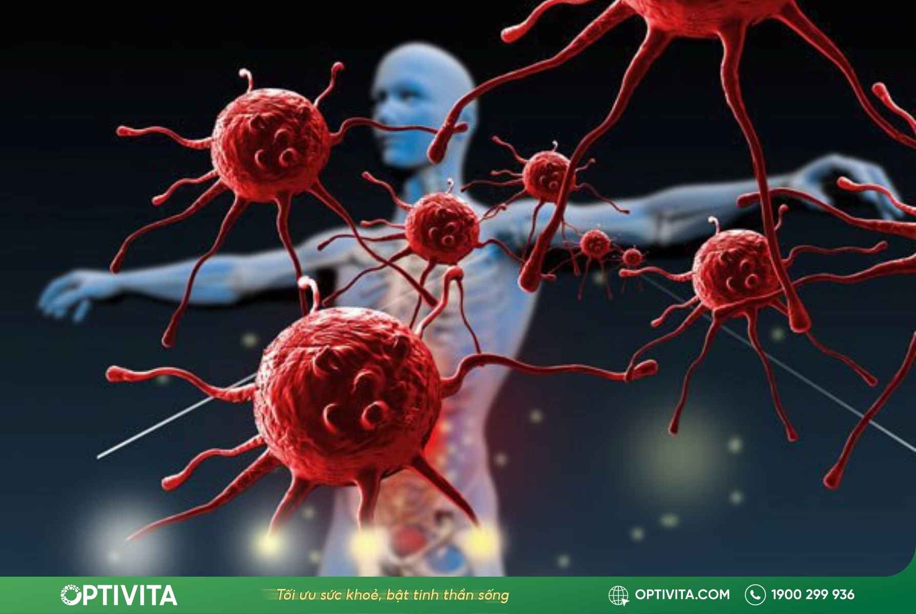 Đau nhức xương khớp vào ban đêm: 3 cơ chế gây đau & 5 cách xử lý dứt điểm 10 Đau nhức xương khớp vào ban đêm