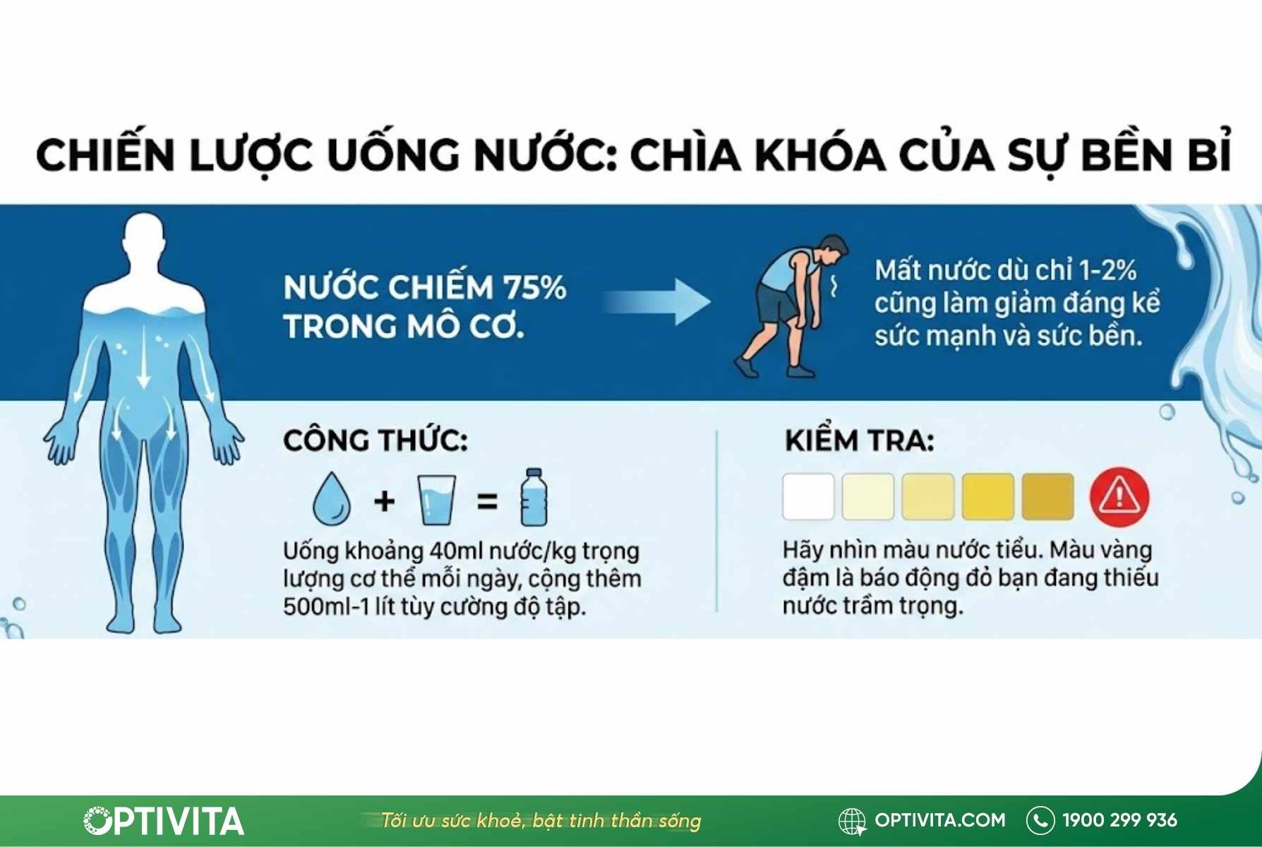 Dinh dưỡng thể thao