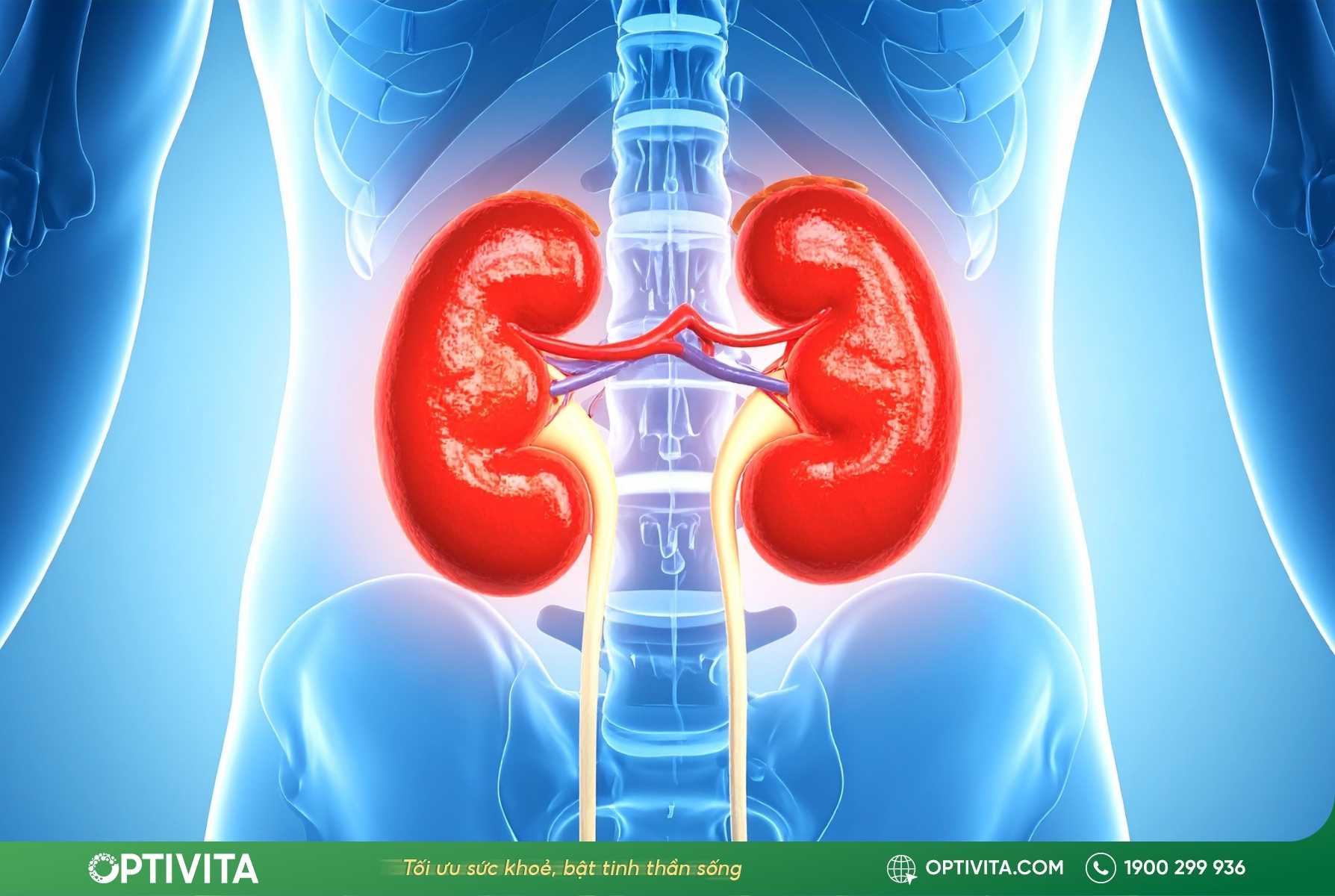 7 thủ phạm gây bị đau lưng dưới gần mông ở nam giới 10 bị đau lưng dưới gần mông ở nam giới