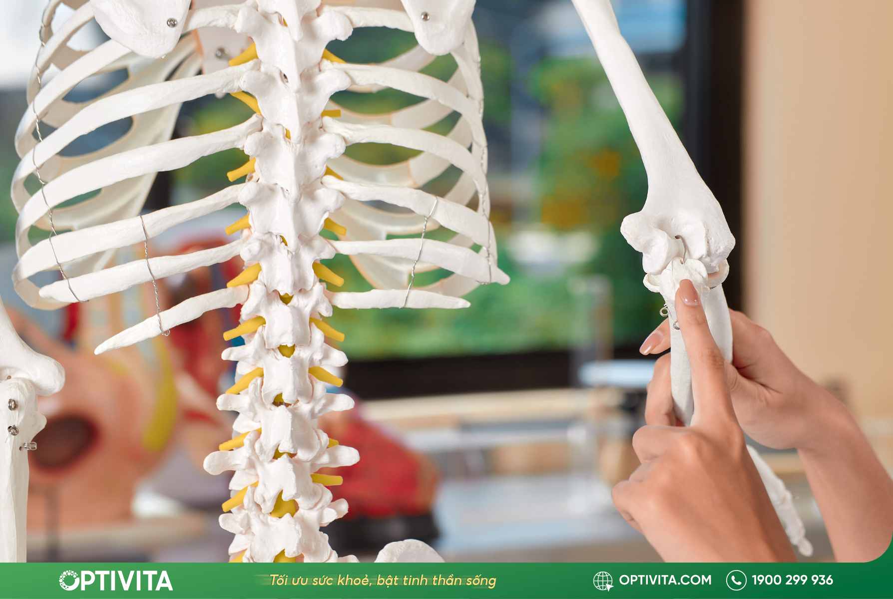 Các yếu tố ảnh hưởng đến xương & Bí quyết ngăn ngừa loãng xương hiệu quả 12 các yếu tố ảnh hưởng đến xương