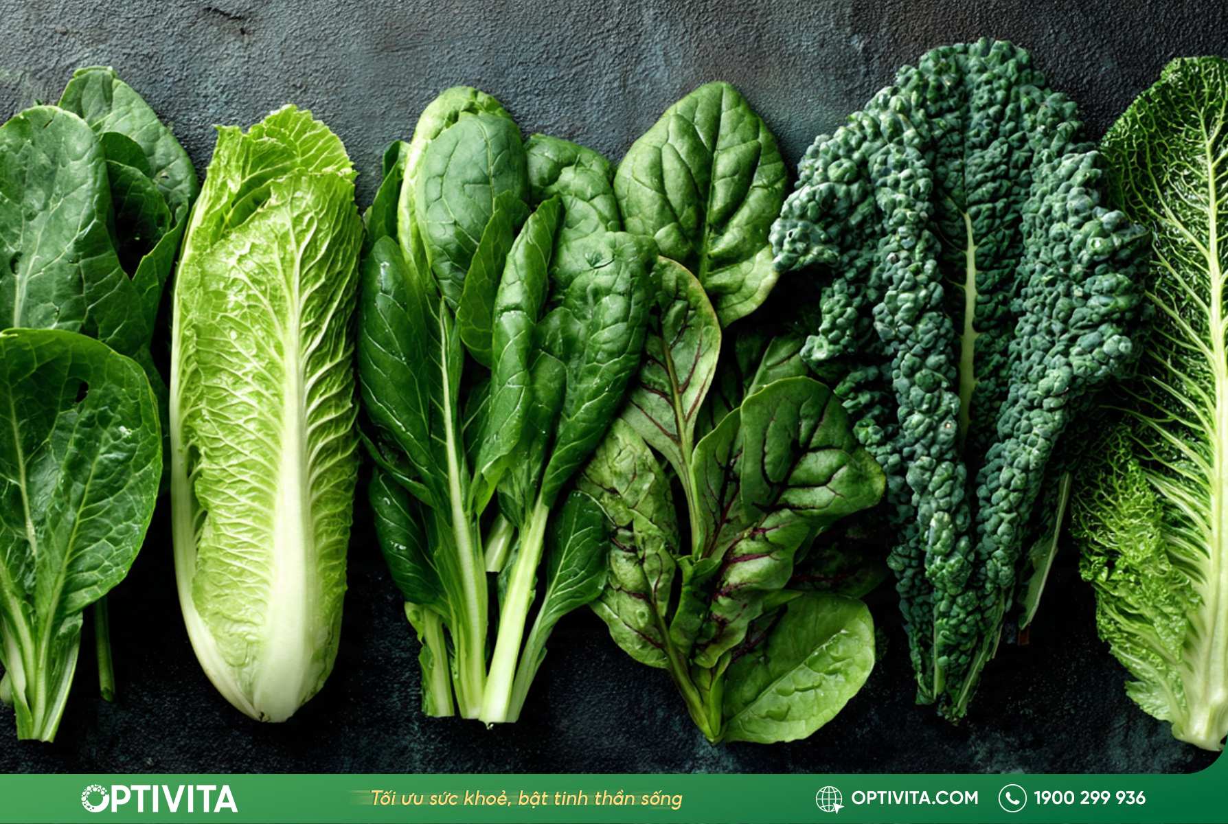 Dinh dưỡng thiết yếu để nuôi dưỡng sụn