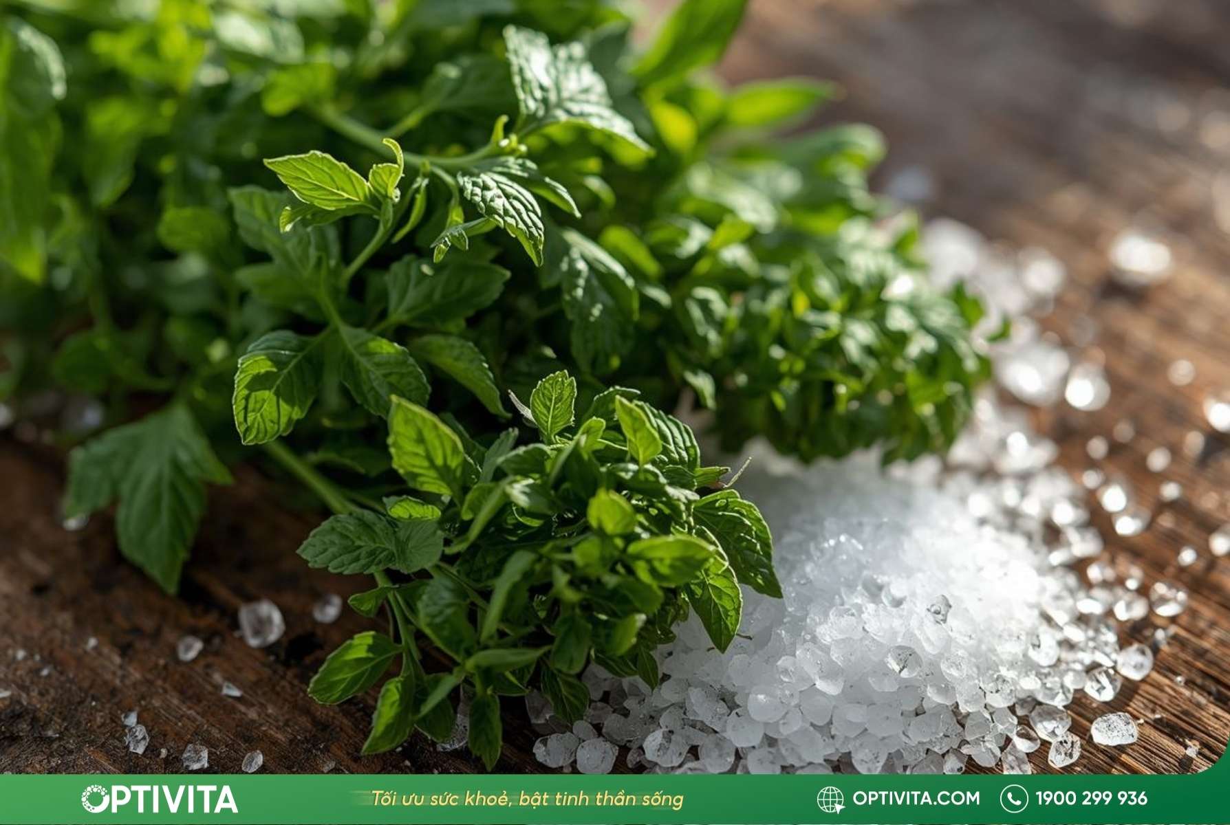 4 cách chữa tràn dịch khớp gối bằng ngải cứu tại nhà giảm sưng đau tức thì 7 cach-lam-bai-thuoc-chua-tran-dich-khop-goi-bang-ngai-cuu-rang-muoi